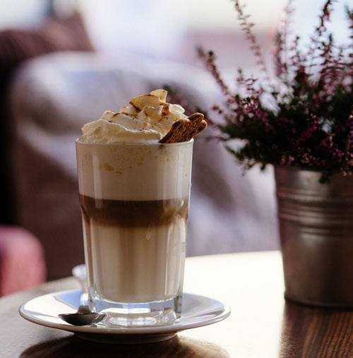 gingerbread latte in office