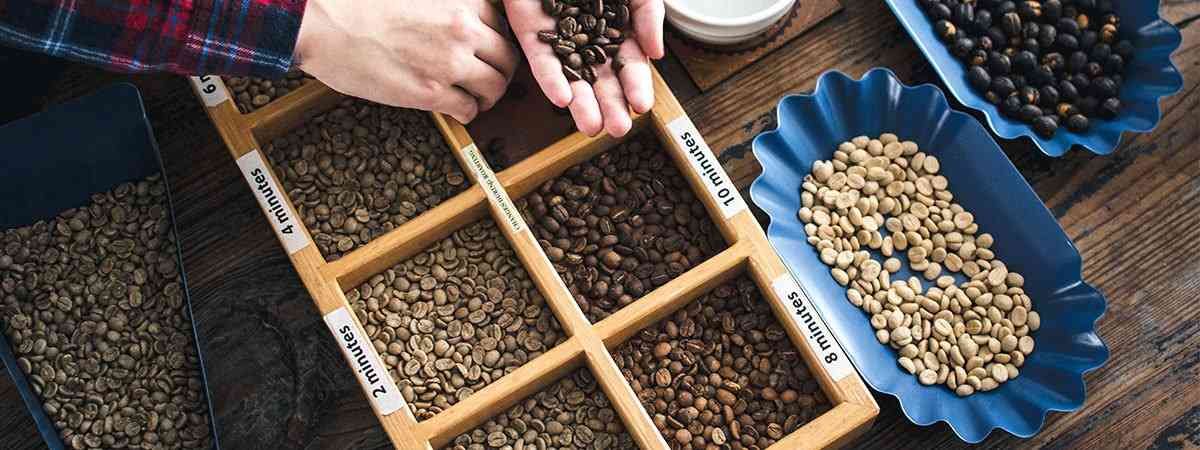Roasting Coffee: Light, Medium and Dark Roasts Explained