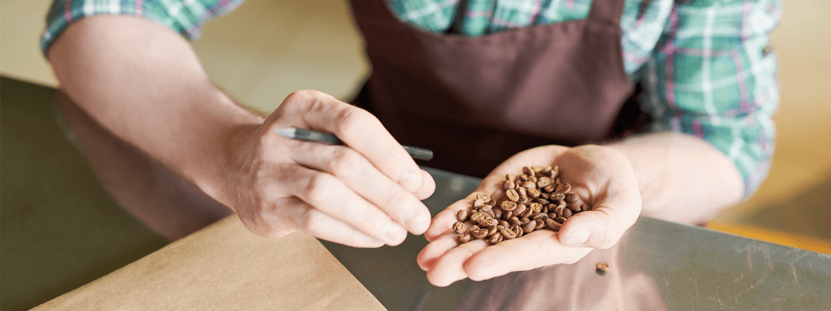 What is Arabica and Robusta Coffee?