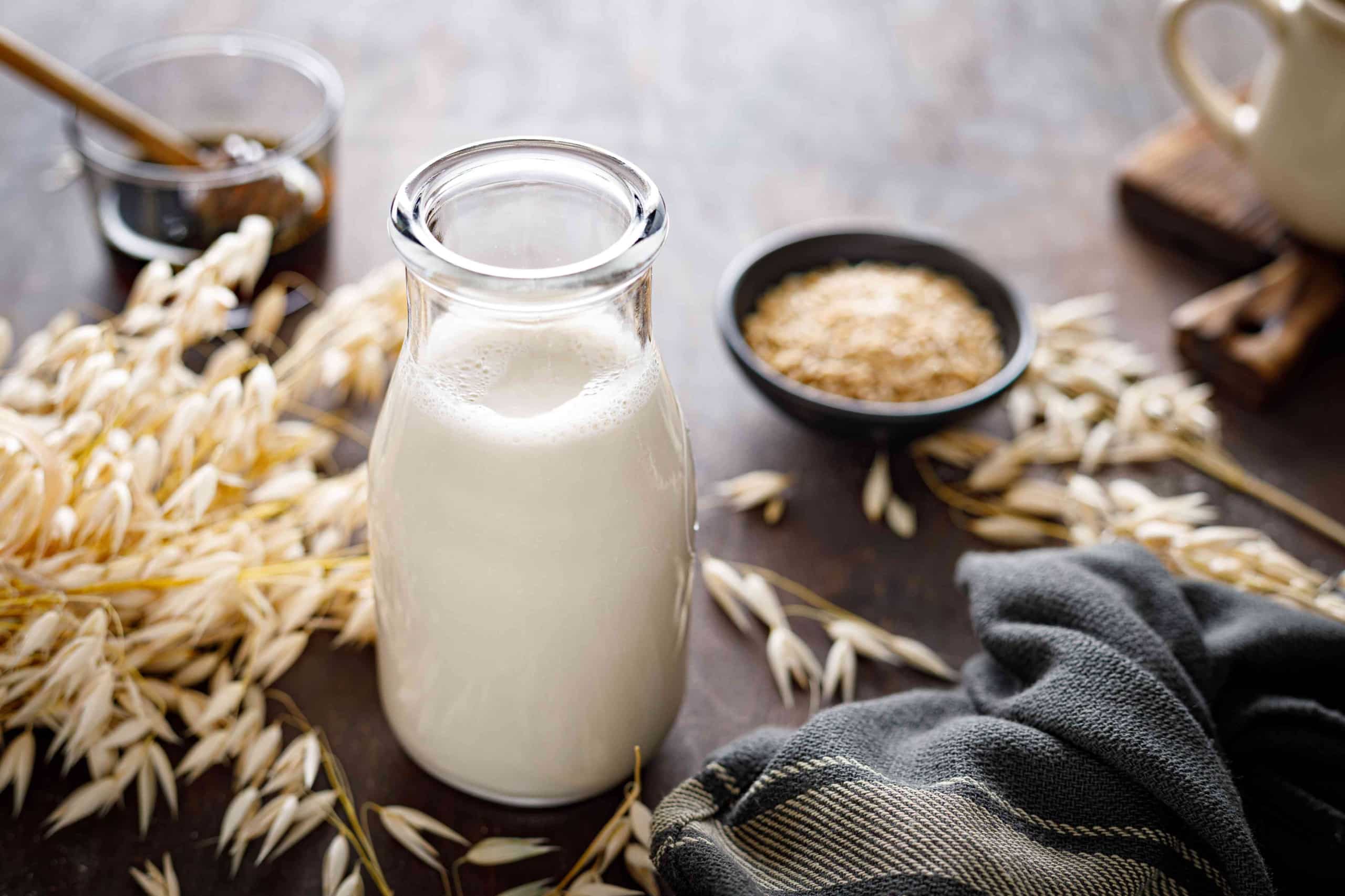 A Guide to Alternative Milks