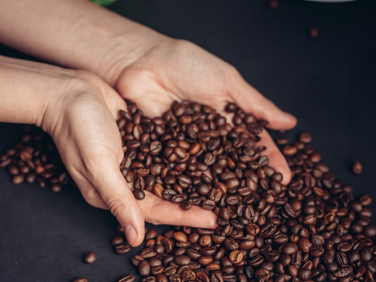 Behind the Bean: Discovering the Rich History of Coffee