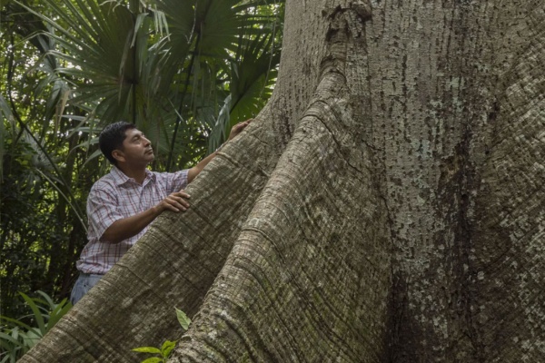 rainforest alliance representative