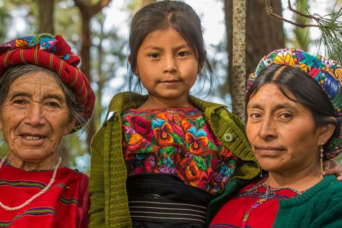 rainforest inhabitants