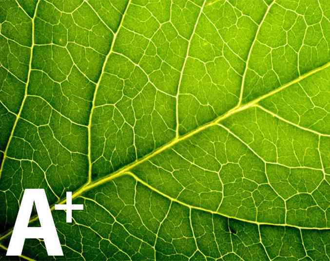 Vitro S3 Fresh Brew Tea