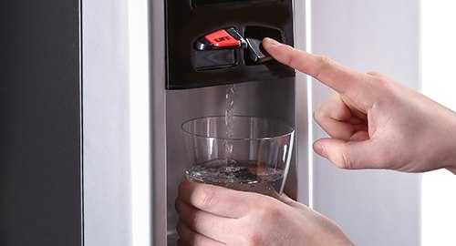 b2 borg dispensing