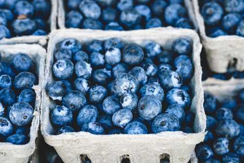 organic blueberries