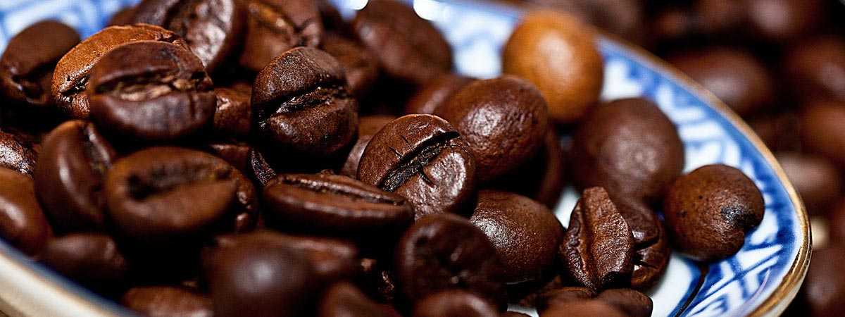 Ever wanted to learn more about Arabica Coffee?