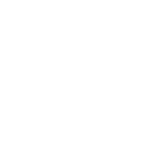 lightbulb icon