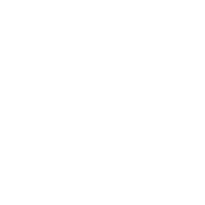 lightbulb icon