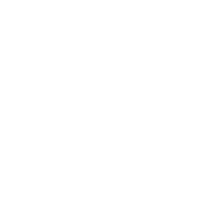 lock icon