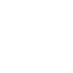 snowflake icon