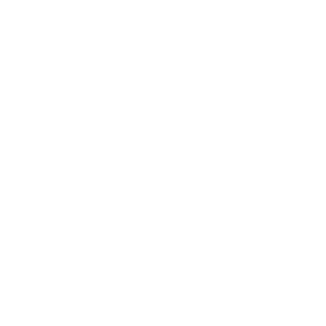 snowflake icon