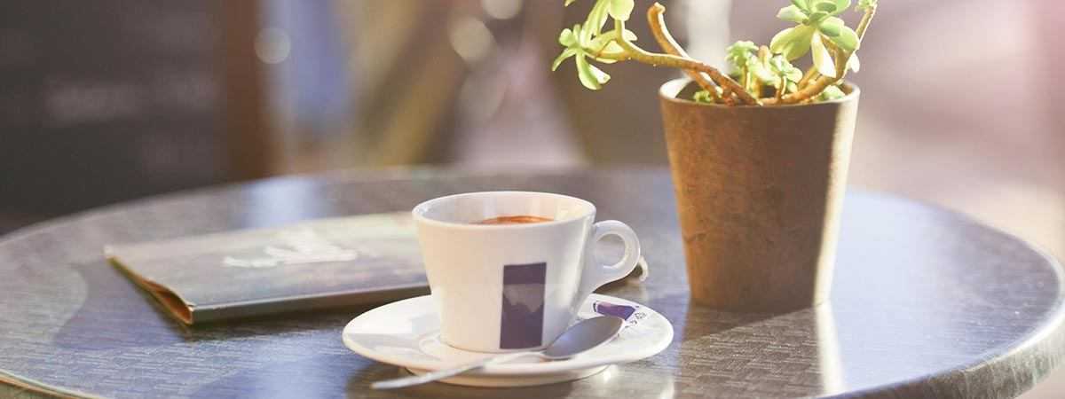 Summer 2018 Coffee Shop Trends for Retailers