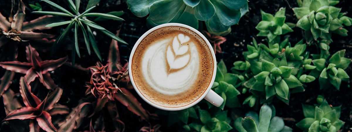 Coffee And The Great Outdoors