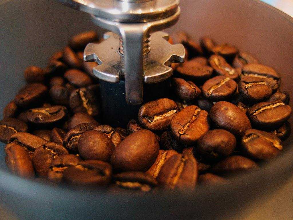 coffee beans in a grinder