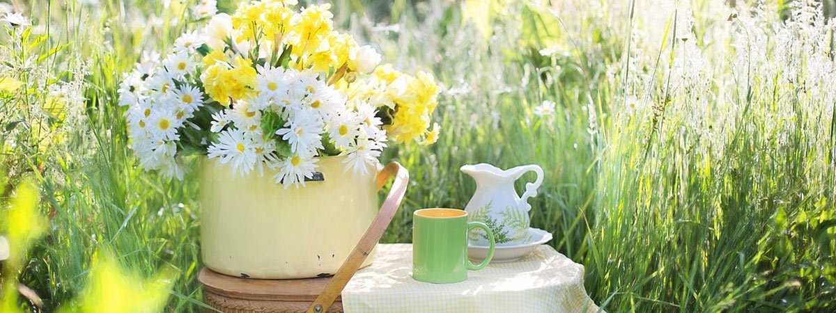 Coffee in the Spring Time