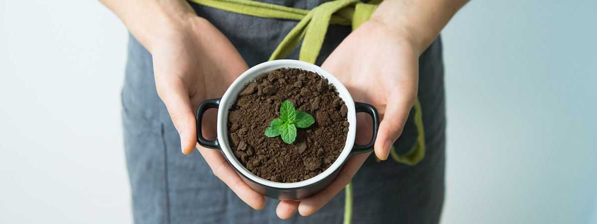 Four Ways to Reuse Coffee Grounds