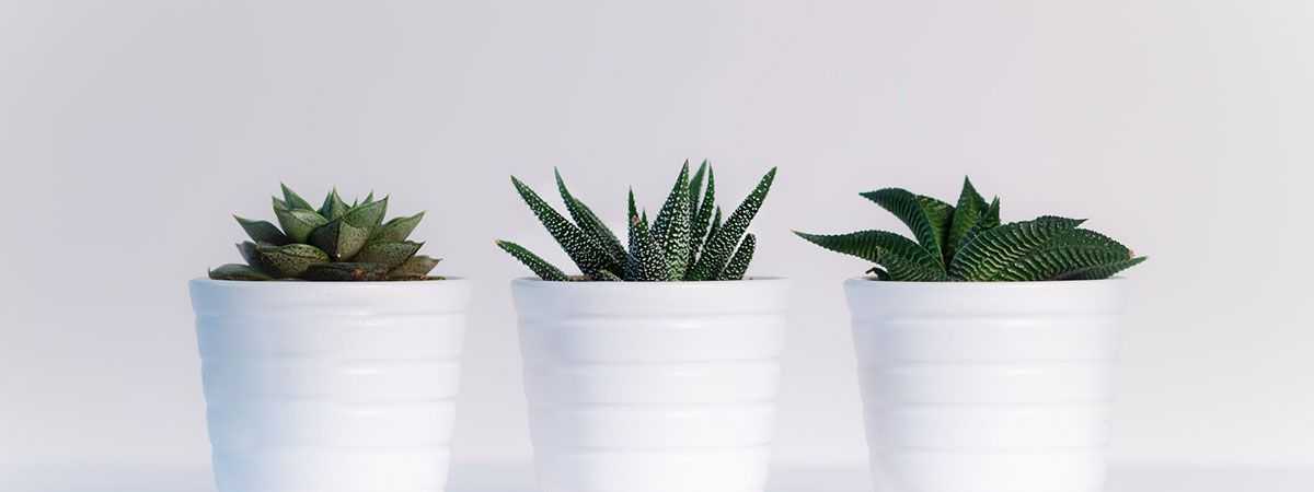 How to be Eco-friendly in the Workplace