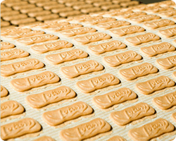 lotus biscuits baking