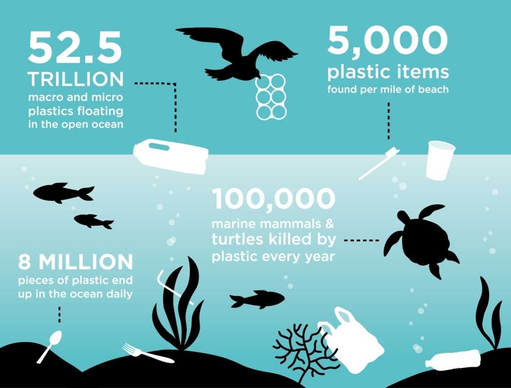 Reduce Your SingleUse Plastic Consumption Liquidline