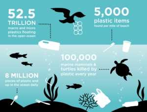 plastic in the ocean infographic