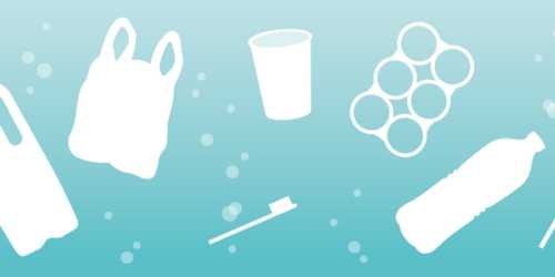 Reasons why you should be reducing your single-use plastic consumption