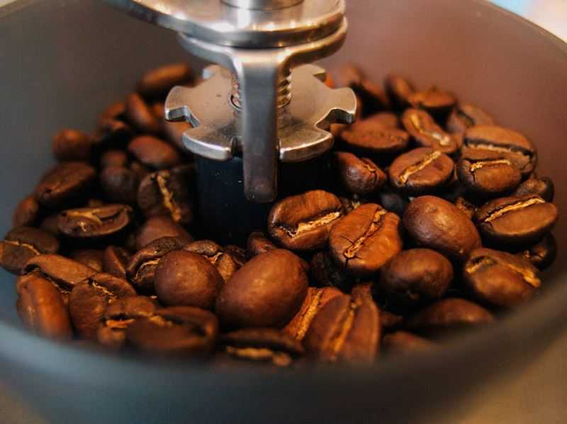 coffee beans in grinder