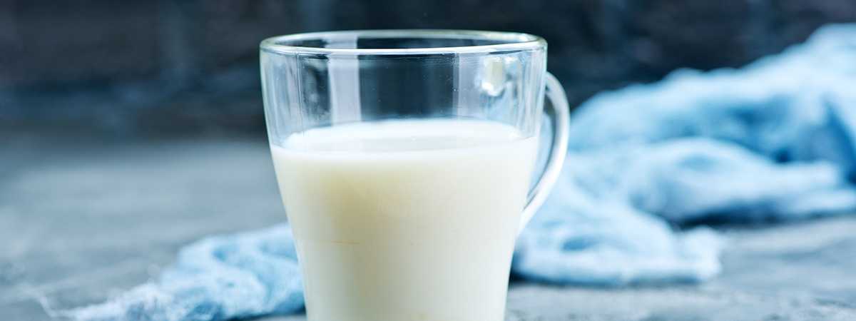 What is the Difference Between Fresh Milk and Powdered Milk?