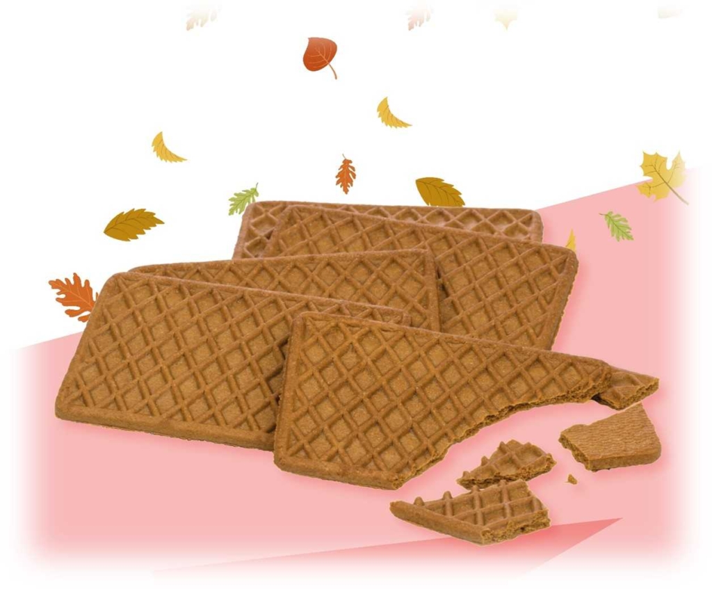 Five caramelised rectangle biscuits with front one crumbling set against a pink background with autumn colour leaves surrounding the top