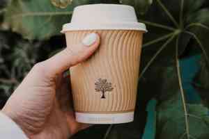 Compostable Coffee Cup