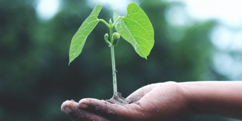 How to Make your Business More Sustainable