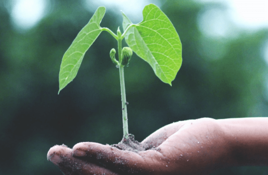 How to Make your Business More Sustainable