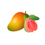 Mango Guava